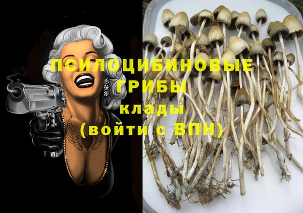 винт Абинск