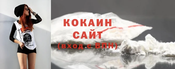 тгк Абаза