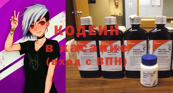 тгк Абаза