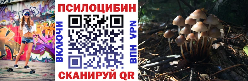 купить наркоту  Углегорск  блэк спрут сайт  Псилоцибиновые грибы MAGIC MUSHROOMS 